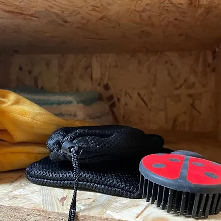 דירה Rhoenloft - Ferienapartment