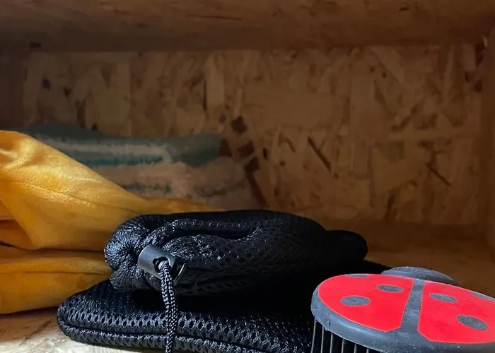 Apartment Rhönloft - Ferienapartment